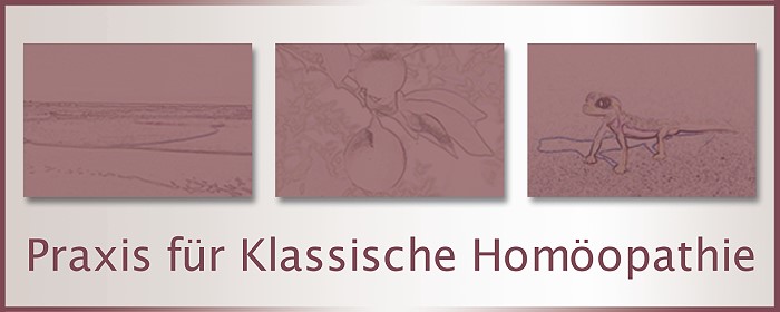 Startseite Homopathie Bad Kissingen / Hebamme, Heilpraktikerin Karin Nebel-Durst